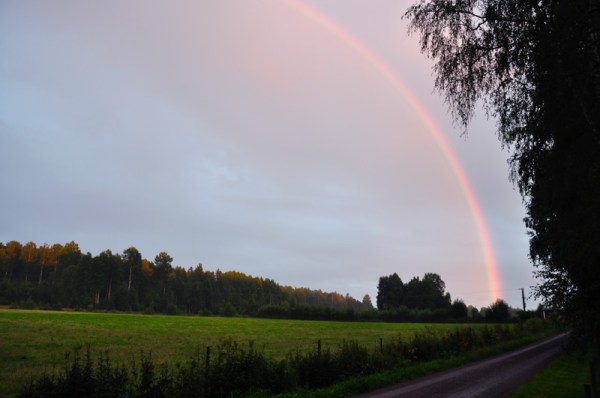 regnbåge