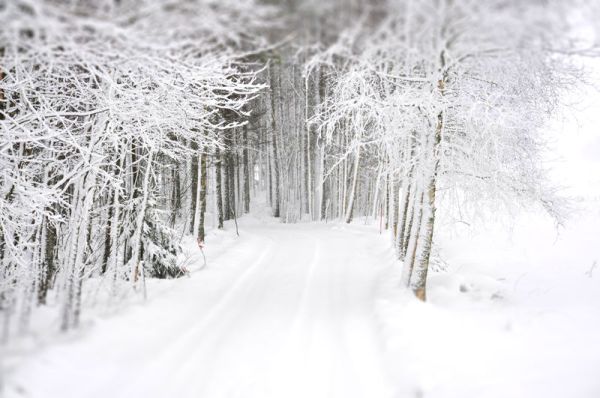 snowstorm4-tiltshift-1
