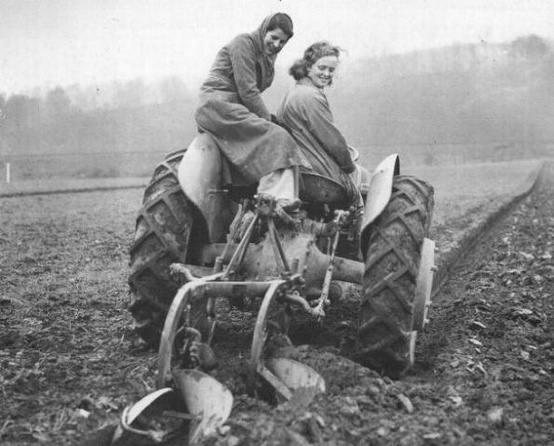 136726538658668982_lmFZstEs_c