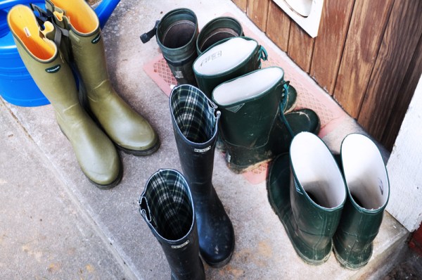 wellies
