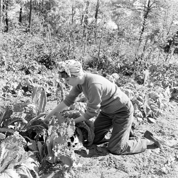 43c23f090ca62c89910443d7378b9f3e