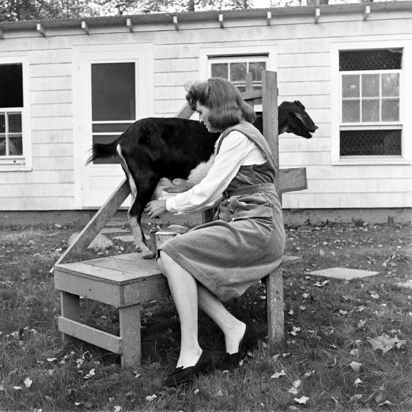 54baa6d9b9c7d5f9_landing