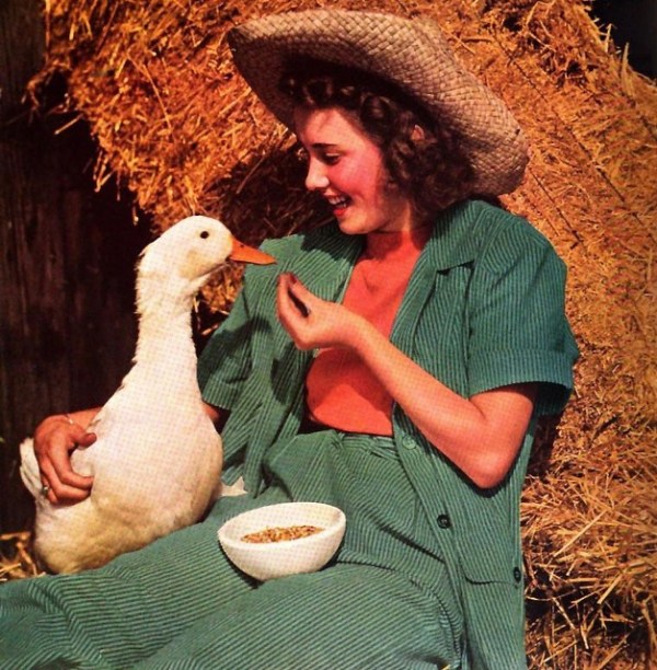 c9453f9676f041bb03c7b1c1afb5d8fe