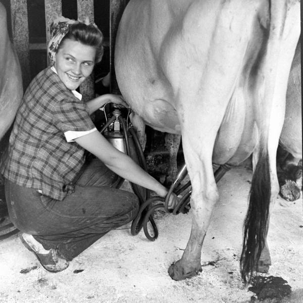 de95de63b0029043de2669fa83afdd00