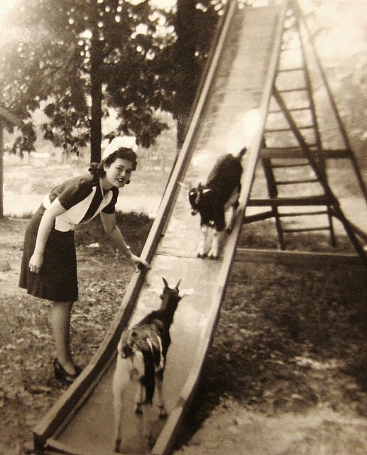 f21b238b3d7264cbb36837f23faec9a8-1