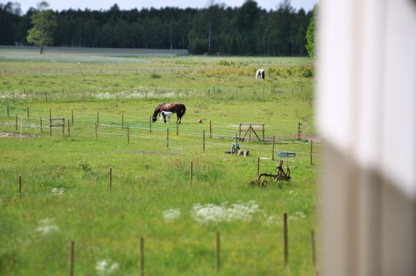 denimkjol5-tiltshift