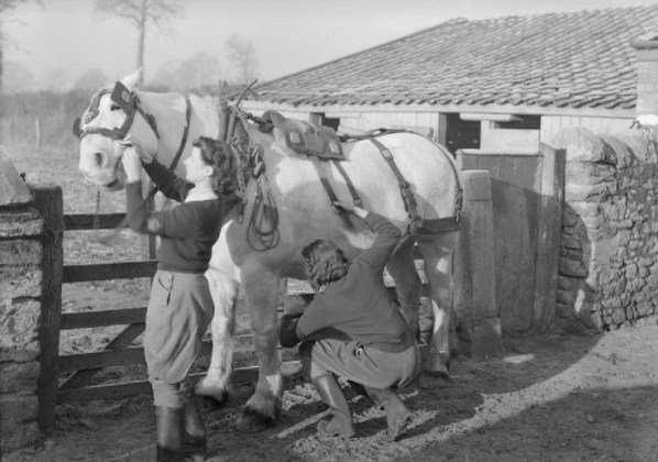 119f57577f2882931a9b52e9b3402137